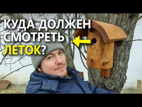 Видео: В какую сторону ориентировать леток скворечника? Нужна ли присада?