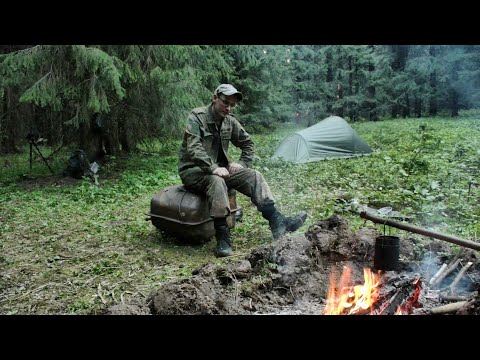 Видео: Поиск в лесном урочище / 1 часть #521