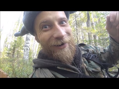 Видео: Мухоморы пошли, пора за грибами