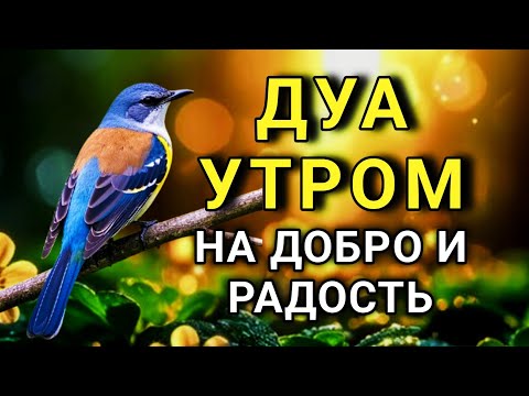 Видео: 🔑 ДУА УТРОМ ДЕЛАЕТ ЖИЗНЬ ЛУЧШЕ! 🤲⚡💯