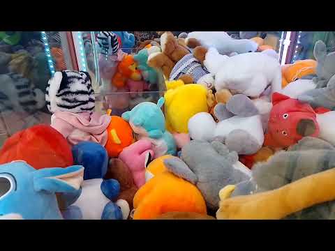 Видео: Удалось восстановить некоторые видео🎥Играю на тигрулю,цыпу,гусей🥰