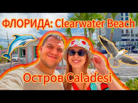 Видео: Clearwater Beach, Флорида: райский отдых с дельфинами и закатами, безлюдный остров Caladesi