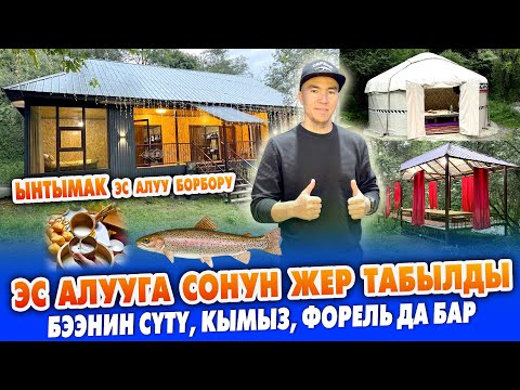 Видео: ШАРКЫРАП аккан СУУНУН боюнда ЖЫРГАП эс АЛГЫЛА ~ Кымыз, форель, каймак, бээнин сүтү да бар