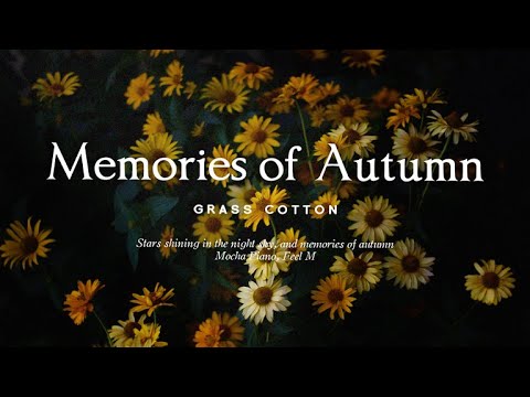 Видео: Звезды, сияющие в ночном небе, и воспоминания об осени l GRASS COTTON+