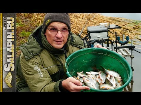 Видео: Ловля плотвы поздней осенью (поплавок) [salapinru]