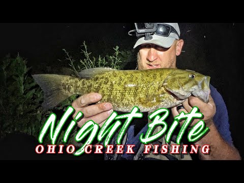 Видео: Рыбалка в ручье Огайо НОЧЬЮ!