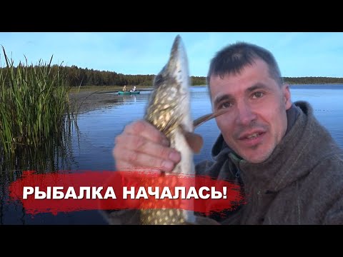 Видео: Осень, Начался клев, Балаган часть 2