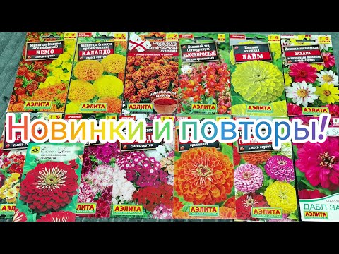 Видео: ОЧЕНЬ КРАСИВЫЕ ЦВЕТЫ ДЛЯ САДА! ОБЗОР ЛУЧШИХ СЕМЯН НА 2025 ГОД.