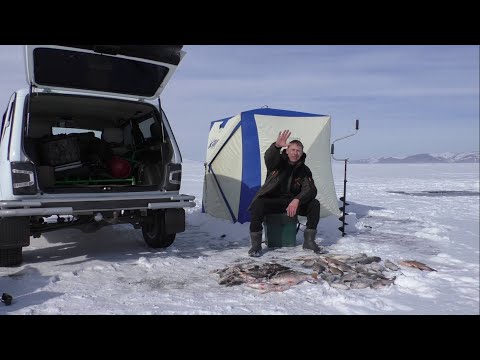 Видео: Я, ВЕРНУЛСЯ!!! ПОЛГОДА МИМО! ПУЗАЧ-ГОРБАЧ))) КВХ. ЛЕЩ, ОКУНЬ.