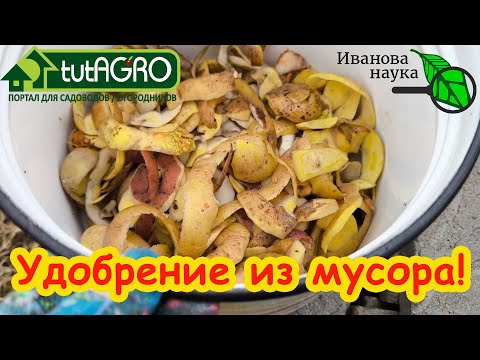 Видео: ВМЕСТО ВСЕХ УДОБРЕНИЙ и ПРЕПАРАТОВ - ЭТО ДОМАШНЕЕ БЕСПЛАТНОЕ СРЕДСТВО! Вы будете поражены урожаем!