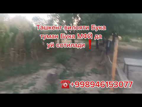 Видео: Тошкент вилоятида уй сотилади❗