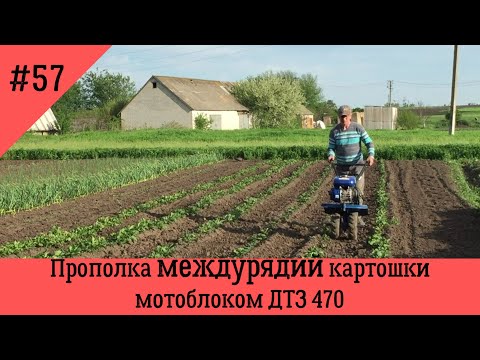 Видео: Прополка междурядий картошки мотоблоком ДТЗ 470