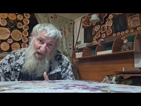 Видео: Еще по поводу пропажи Усольцевых