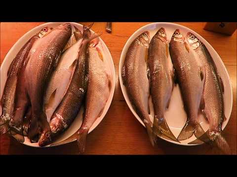 Видео: Сиг. Как приготовить.