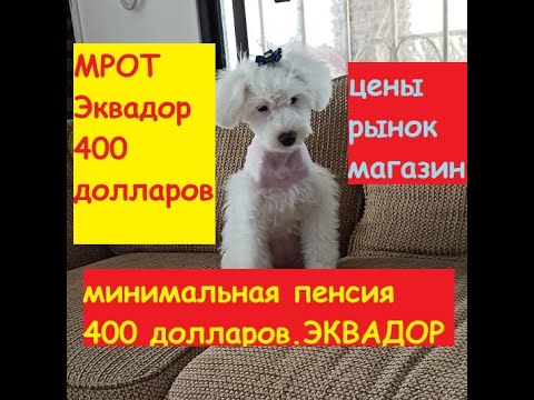 Видео: МРОТ в Эквадоре/ Ecuador/ 400 долларов! Минимальная пенсия 400 долларов! А какие цены в магазинах?