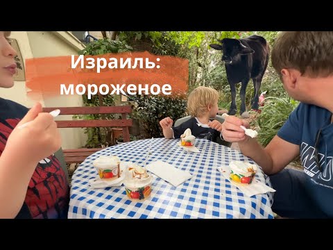 Видео: Израиль / Мороженое / Буйволиная ферма/ Israel Buffalo