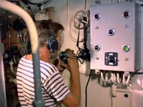 Видео: Жак Ив Кусто. В мире безмолвия 1956