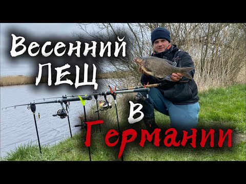 Видео: Лещи узнают меня сдалека — весна, река, фидер! Как ловить БОЛЬШИХ Лещей?