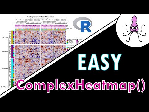 Видео: ПРОСТЫЕ тепловые карты с ComplexHeatmap() в R