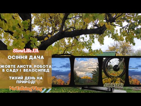 Видео: Осіння дача | Жовте листя, велосипед і робота в саду  | тихий день на природі