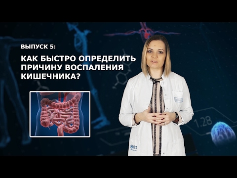 Видео: [AlfaMedBlog] 5. Как быстро определить причину воспаления кишечника?