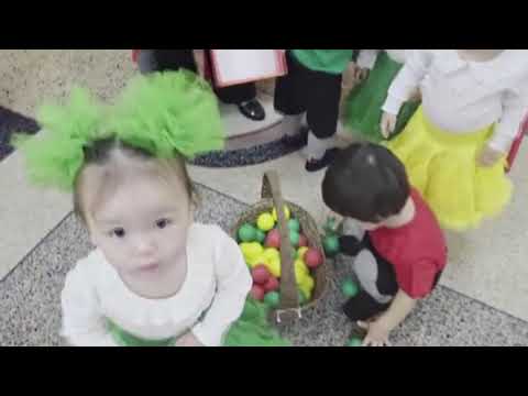 Видео: 2-06,11,2025 ж, БАЛДЫРҒАН ТОБЫ  ТҮРЛІ ТҮСТІ ДОПТАР