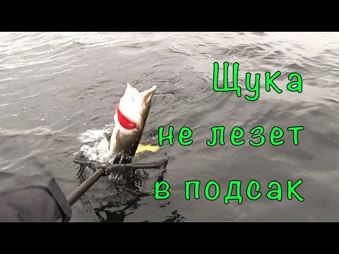 Видео: ЩУКА на ДЖЕРКИ. Борьба с перехлестами.