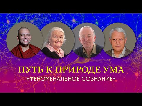 Видео: Феноменальное сознание. Путь к природе ума