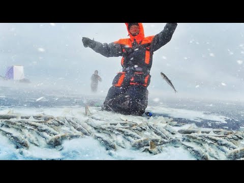 Видео: ЖУТКИЙ ПЕРВЫЙ ЛЕД!! ВЕТЕР!! ХОЛОД! ОНИ ДЕРЖАЛИСЬ ДО ПОСЛЕДНЕГО, И НАЛОВИЛИ  РЫБЫ!! ПЕРВЫЙ ЛЁД 2025!!
