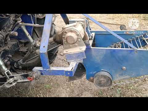 Видео: Кентавр 244S ,  транспортерна картоплекопалка КК-11 , 8 сезон!