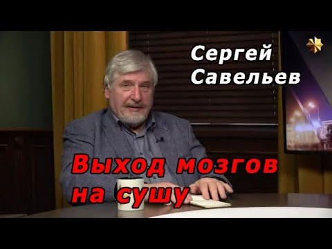 Видео: С.В. Савельев - Выход мозгов на сушу
