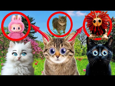 Видео: ВАШИ САМЫЕ ЛЮБИМЫЕ МЕМЫ! подряд 5 видео