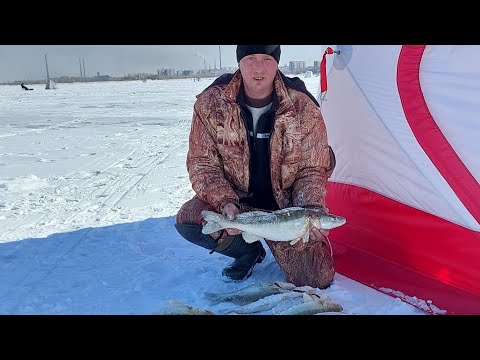 Видео: 15 МАРТА #САМАРКАНДСКОЕ ВОДОХРАНИЛИЩЕ #СУДАК НА #ЖЕРЛИЦЫ