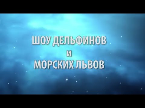 Видео: Архипо-Осиповка Дельфинарий Dream Show