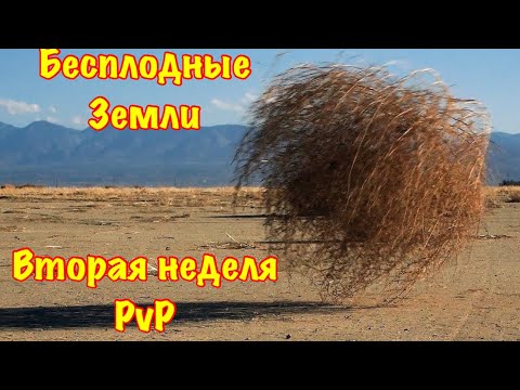 Видео: The Ants. Вторая неделя пустошей