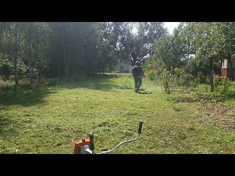 Видео: Stihl FS 350 против китайской косы 43сс. Сравниваю расход топлива у этих кос.