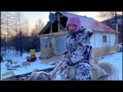 Видео: Улахан Чистай с. Сасыр. Жизнь оленеводов Якутии. Мома. Сасыр. 2020