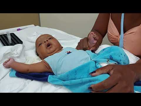 Видео: Levy. Blood collection. Coleta de sangue. جمع الدم . Сбор крови. جمع آوری خون