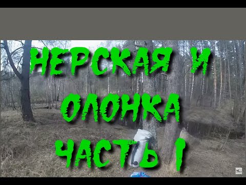 Видео: НЕРСКАЯ И ОЛОНКА ЧАСТЬ 1