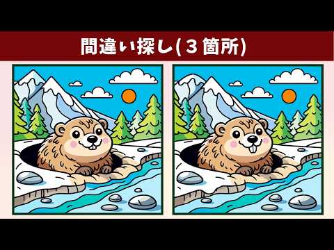 Видео: Найдите 3 отличия | Иллюстрация Версия #1597