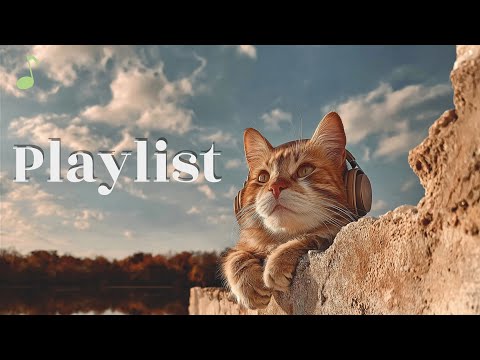 Видео: [Плейлист] Эмоциональный поп с ароматом осени 🍁 | Lofi & R&B Chill