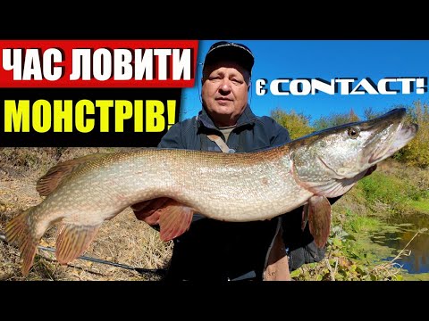 Видео: Контакт з ТРОФЕЙНОЮ щукою! Береговий джиг та воблери з Crazy Fish Contact 762MLT