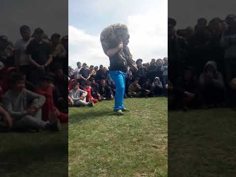 Видео: Дегерес 100 жылдық! Қошқар көтеру.
