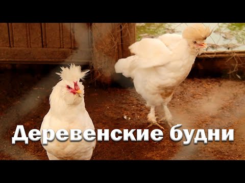 Видео: Первые поломки Нивы// меда больше нет// гадюки на участке// обзор хозяйства..