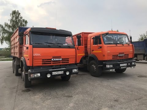 Видео: Рейс с Дениской)