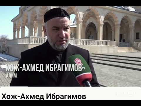 Видео: Ч1ОГ1 ХАЗ ХЬЕХАМ ХОЖАХЬМАД КУРЧАЛОЙ