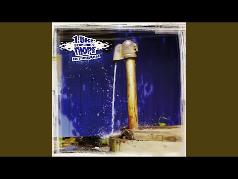 Видео: Август-юг