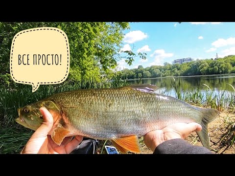 Видео: ЭТА БЛЕСНА ВЫКАШИВАЕТ ЖЕРЕХА В АДСКУЮ ЖАРУ
