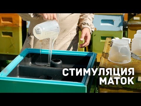 Видео: Стимуляция маток в кормушках (12 рамок) ППУ Нижегородец глюкозо-фруктозным сиропом