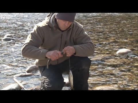 Видео: Солнечный день в октябре. Ловля хариуса в верховьях Абакана